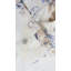 Bonnefoy Cotton Waffle Kitchen Towel-16795349