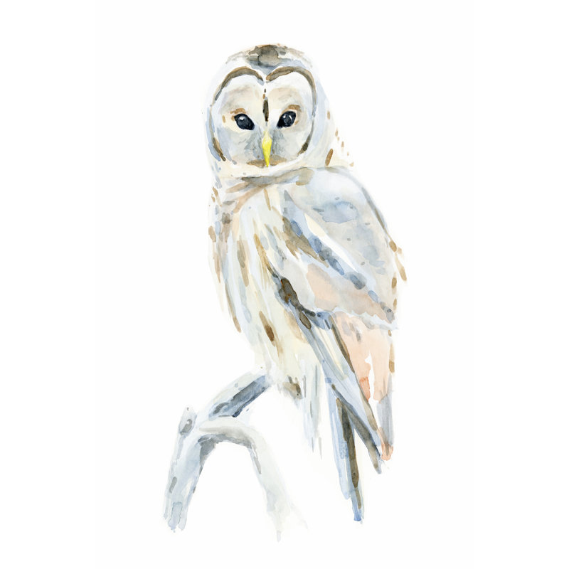 Arctic Owl II by Annie Warren - Wrapped Canvas Painting, 46cm H x 30cm W