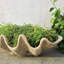 Handmade Planter-13913320