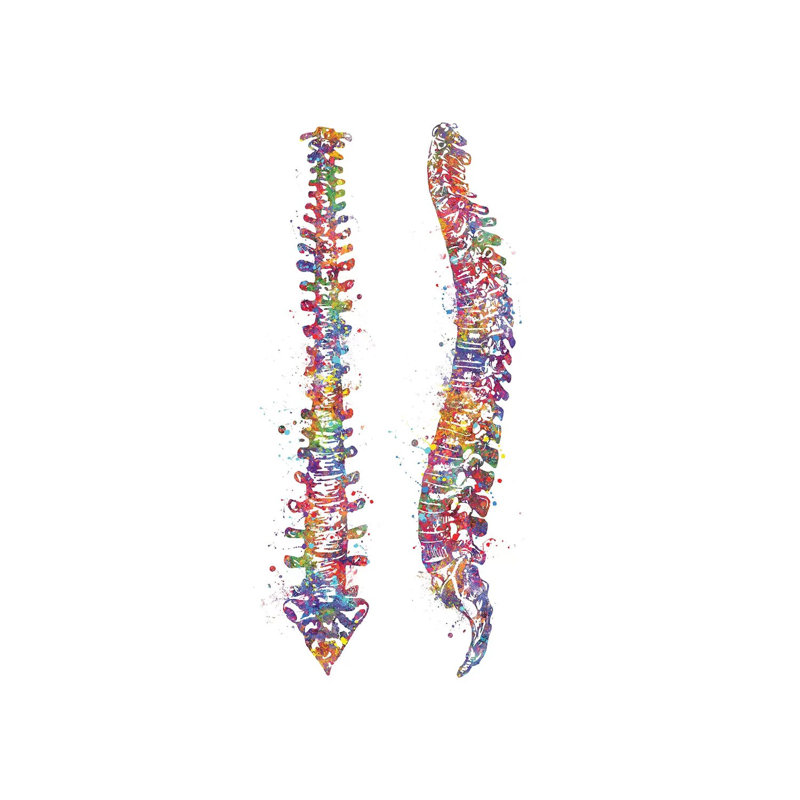 «Spinal Cord II», impression sur toile tendue, H 26 po x l 18 po x 1,5 po