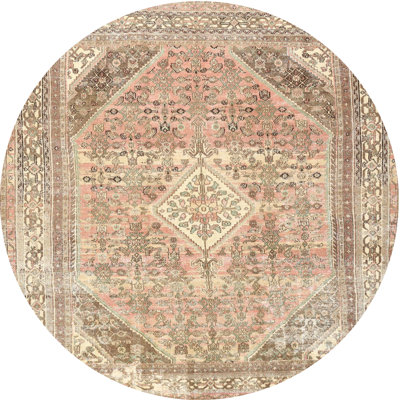 Cialan Oriental Indoor Rug