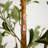 7ft. Artificial Olive Tree with Natural Trunk
