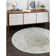 Shauntra Oriental Indoor Rug