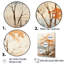 Érable beige sur fond beige-1119888437-1119888432
