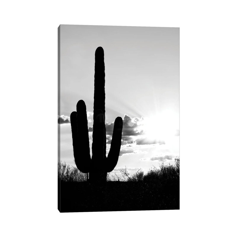 Série noire Arizona - Saguaro Cactus ombre coucher de soleil - PHD1476, H 40 po x l 26 po x P 1,5 po