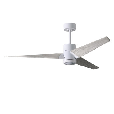 LED Downrod Ceiling Fan
