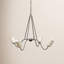 Rafa Chandelier