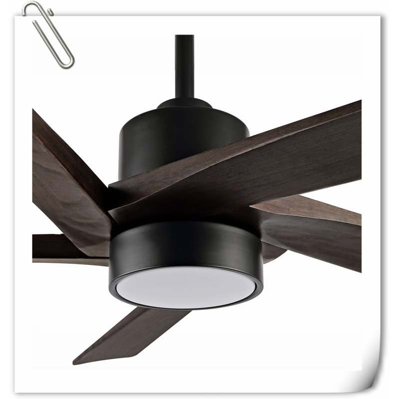 Museau Ceiling Fan with LED Lights, Brown/Black