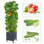 Boîte à fleurs surélevée pour jardin avec treillis, jardinières à tomates pour plantes grimpantes, cage à tomates avec auto-arrosage et roues