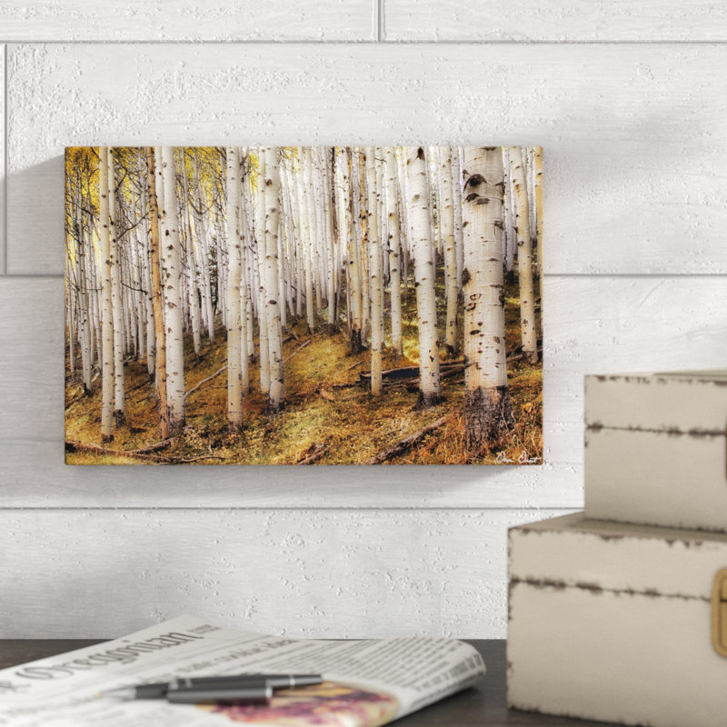 «Aspen Woods», photographie sur toile, H 8 po x l 12 po