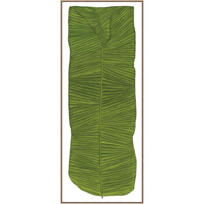 Botanicus Fronde 2 Print