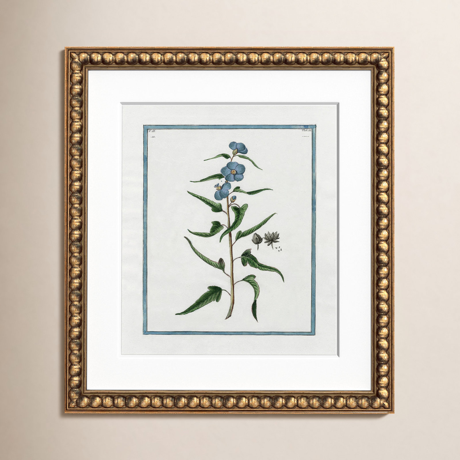 Colombe "Shabby Elegance Botanical I" Print, Gold Bead Framed, 14" W x 16" H