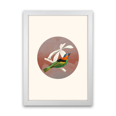 Bird Collage II - Print