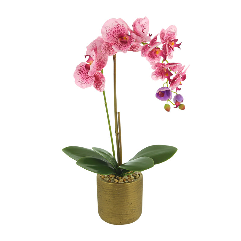 Arrangement floral orchidée dans un vase