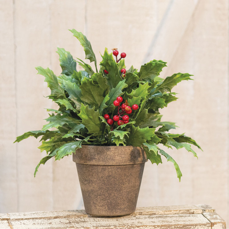 9 plantes
