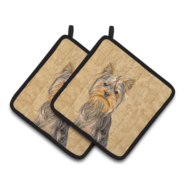 Cuisinier poignée east urban home yorkie