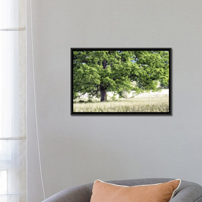 Tree In Summer by Danny Head - Gallery-Wrapped Canvas Giclée