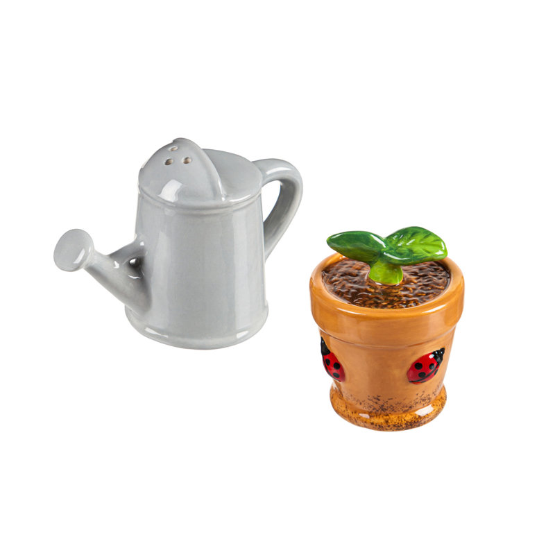Ensemble de salière et poivrière en céramique