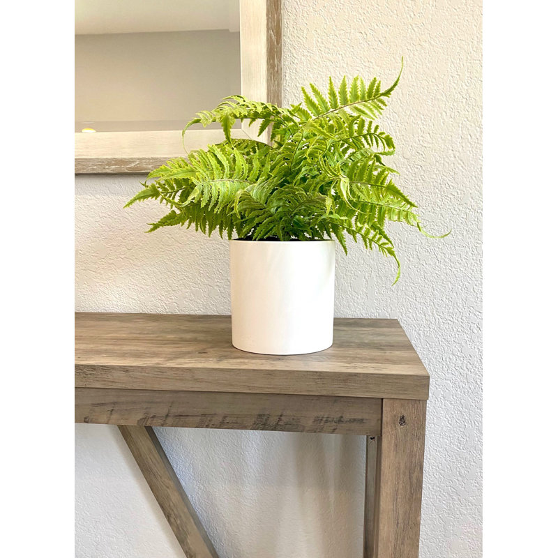 Faux Fern Plant in Ceramic Planter