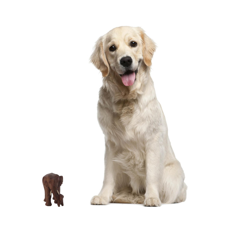 Father and Son Teak Figurine