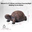 Statue de tortue de marche en béton / gris MgO L 21,3 po XBrand, décor intérieur ou extérieur, décoration de jardin, statuaire de tortue-1089381209-1089381214