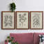 Antique Black and White Botanical VII - Ensemble de 3 reproductions d'art sur toile-282180063-282180058