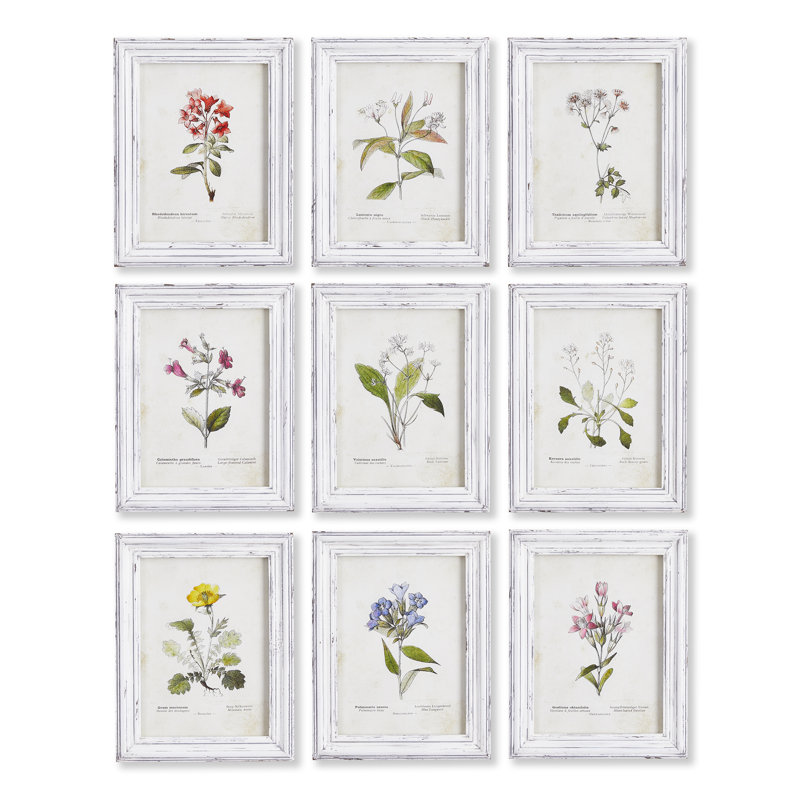 Ensemble de 9 estampes de jardin Andel
