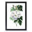 White Hibiscus Flower - Framed Print-55641268-55641269