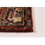 Tapis rouge Anzaldua 3 pi 3 po x 10 pi 0 po