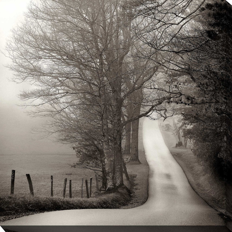 Cades Cove par Nicholas Bell - photographie, H 18 po x l 18 po x P 1 po, Toile tendue