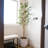 Artificial Olive Tree - 2-Pack-1080715541