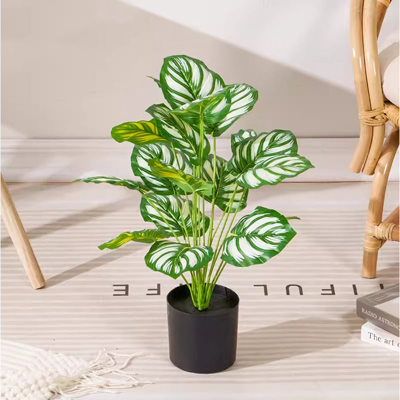 19,69 plante