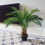 80cm Faux Palm Plant in Pot Liner