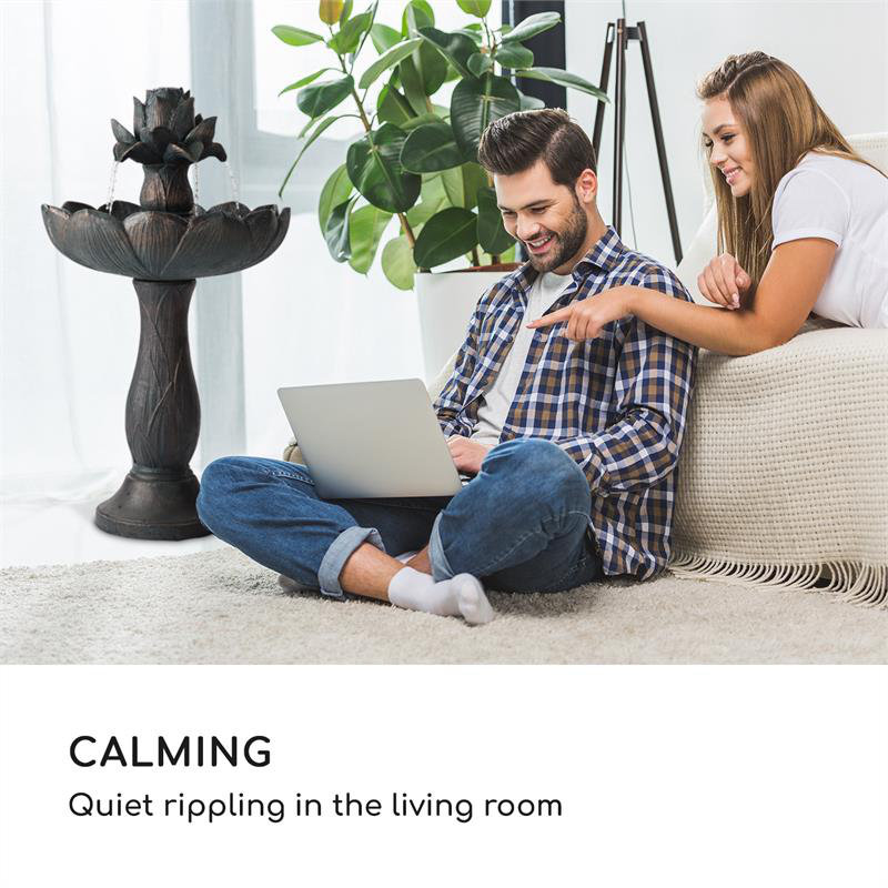 Indoor Birdbath Fountain