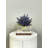 Rylynn Lavender Arrangement in Pot