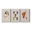 Coquilles antiques sur toile de lin - Ensemble de 3 toiles tendues-1899022025