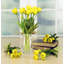 Blooming Tulip Bunch - 15 Inches Set Of 6-215890829