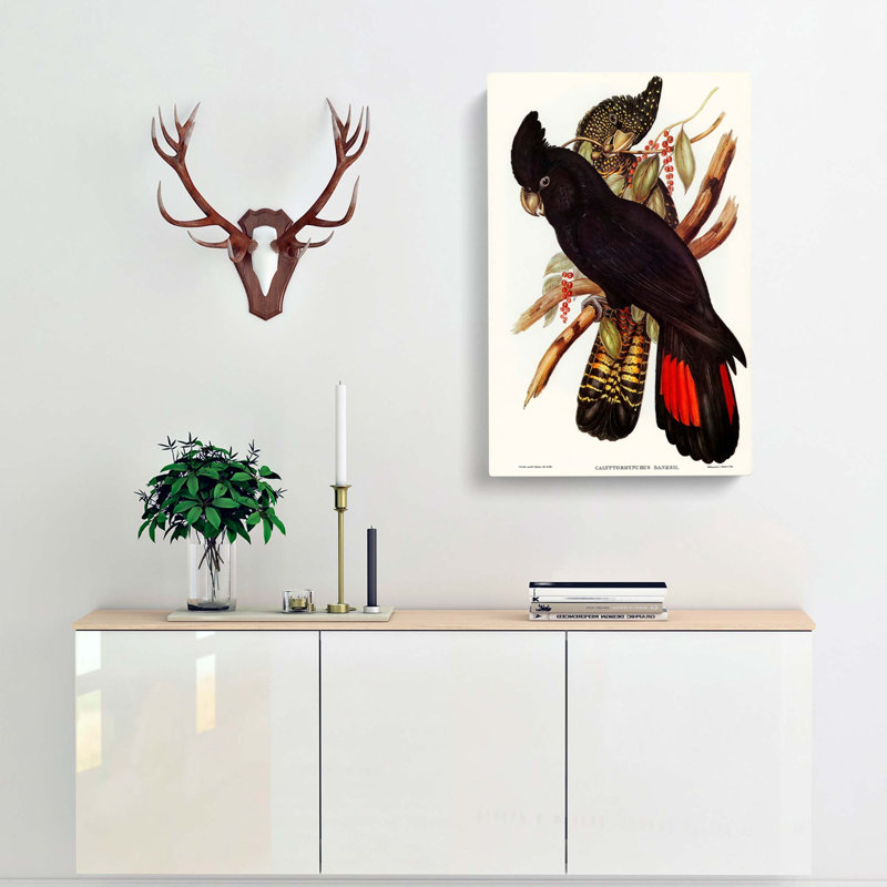 Banksian Cockatoo by Elizabeth Gould - Wrapped Canvas Painting, 50cm H x 35cm W x 3cm D