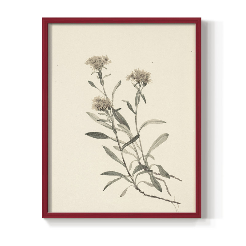Impression florale vintage encadrée CXCIX - bois massif, H 11 po x l 9 po, Rouge