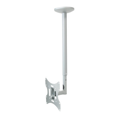 Symple Stuff Single Screen Ceiling Mount