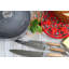 Laguiole 5 Piece Knife Set with Storage