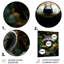 " Curious Raccoon Collage VI "-1147658542