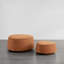 Repose-pieds avec rangement Armeda (ensemble de 2)-752254955