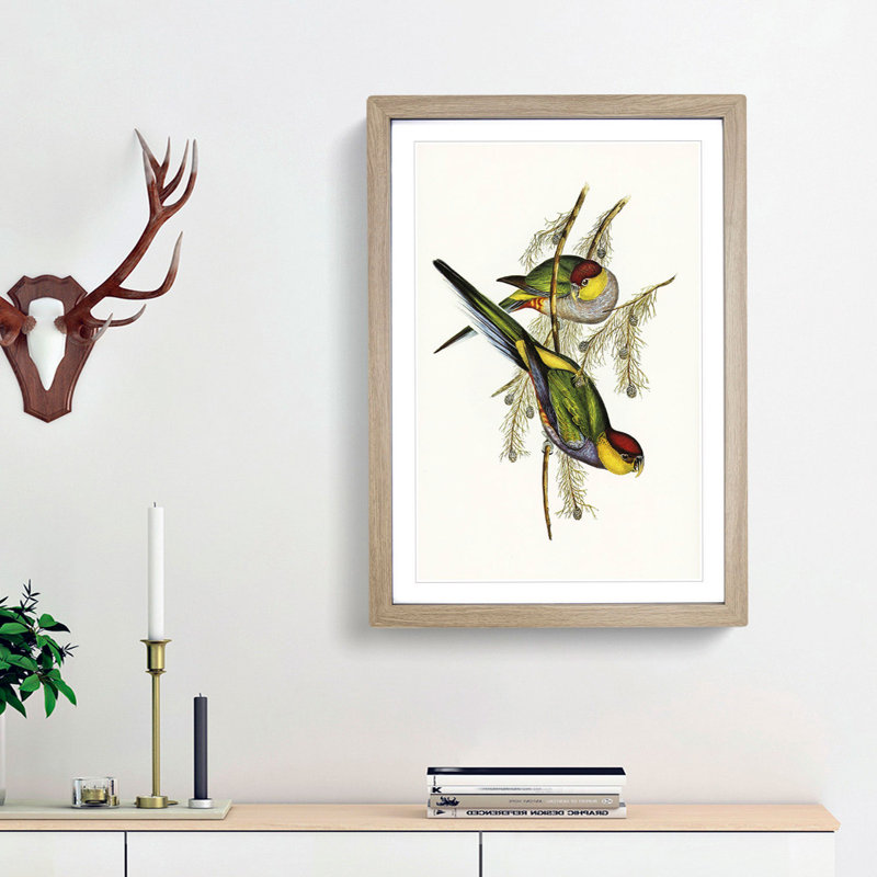 Red-Capped Parakeets by Elizabeth Gould - Picture Frame Painting Print, 65cm H x 48cm W x 2cm D, Oak Framed