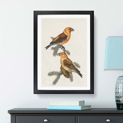 Red Crossbill Birds by Von Wright - Picture Frame Painting Print