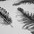 Cobus Animal Print Roll