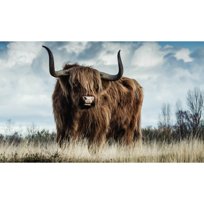 European Wildlife 008 - No Frame Rectangle Print on Glass