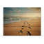 Photo de plage empreintes de pas en V sur bois-338226847