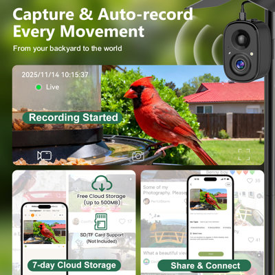  Coolfly X Richbird Smart Bird Camera With Solar Panel And 63" Decorative Mounting Pole - Black