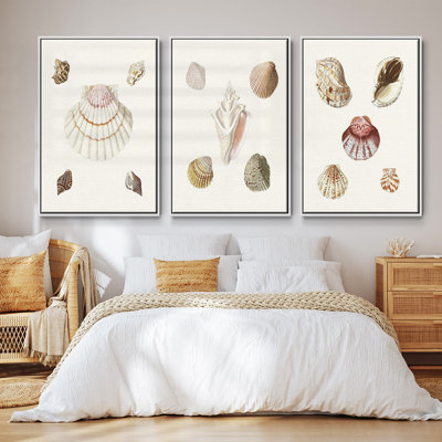 Pastel Knorr Shells IV, ensemble de 3 toiles encadrées sur toile